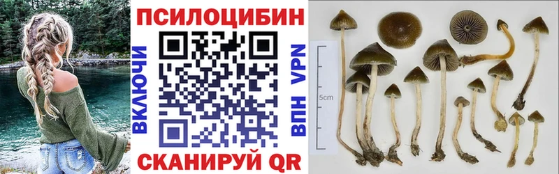 Псилоцибиновые грибы Magic Shrooms  Лесозаводск 