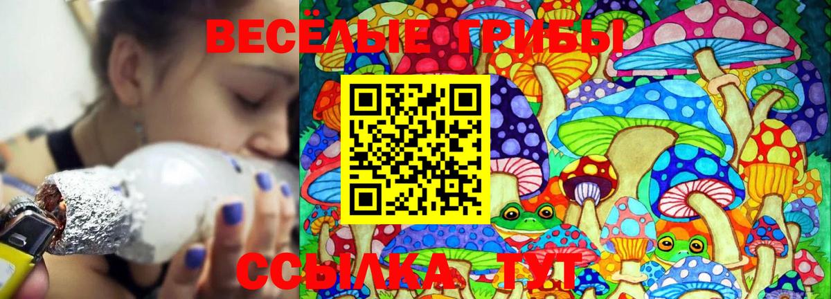 Галлюциногенные грибы прущие грибы  Вход с VPN  Лесозаводск 