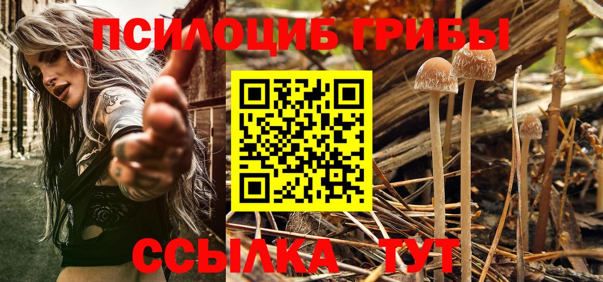 Галлюциногенные грибы Cubensis Лесозаводск